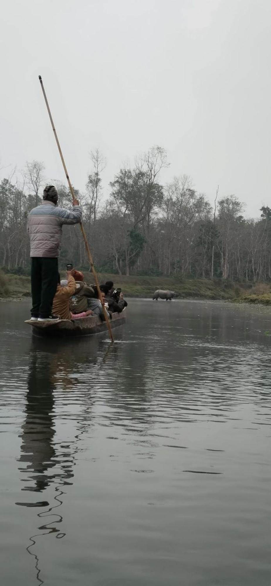 Bamby Chilling House - Feel The Nature Sauraha Bagian luar foto