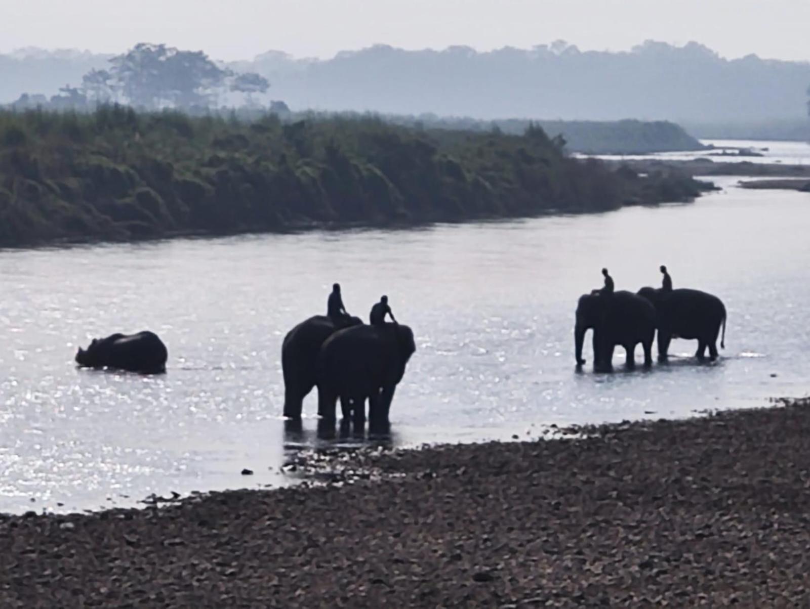 Bamby Chilling House - Feel The Nature Sauraha Bagian luar foto