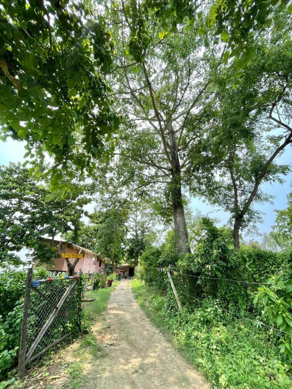 Bamby Chilling House - Feel The Nature Sauraha Bagian luar foto