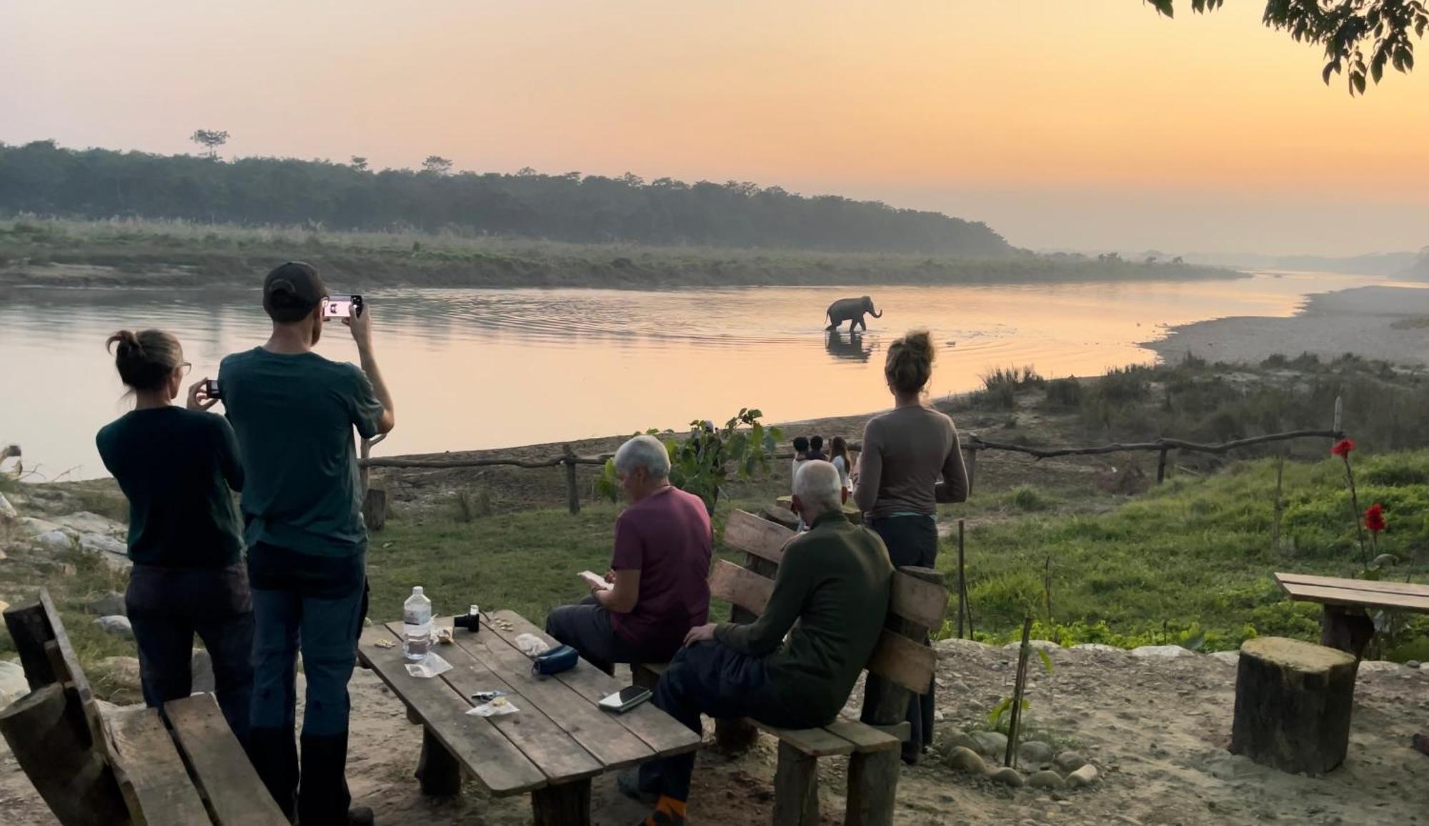 Bamby Chilling House - Feel The Nature Sauraha Bagian luar foto