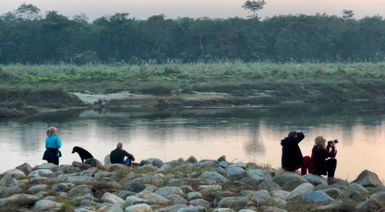Bamby Chilling House - Feel The Nature Sauraha Bagian luar foto