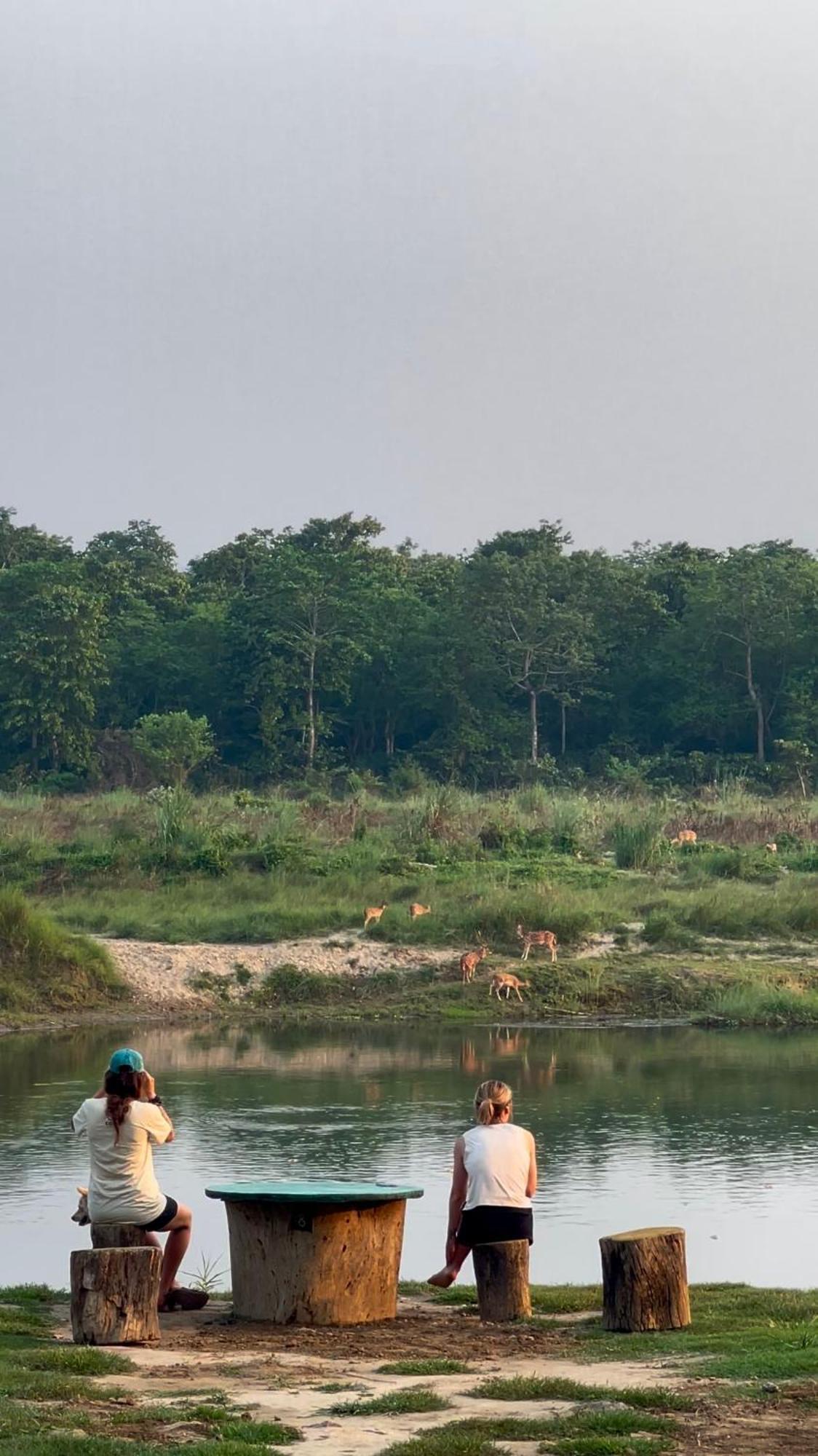 Bamby Chilling House - Feel The Nature Sauraha Bagian luar foto